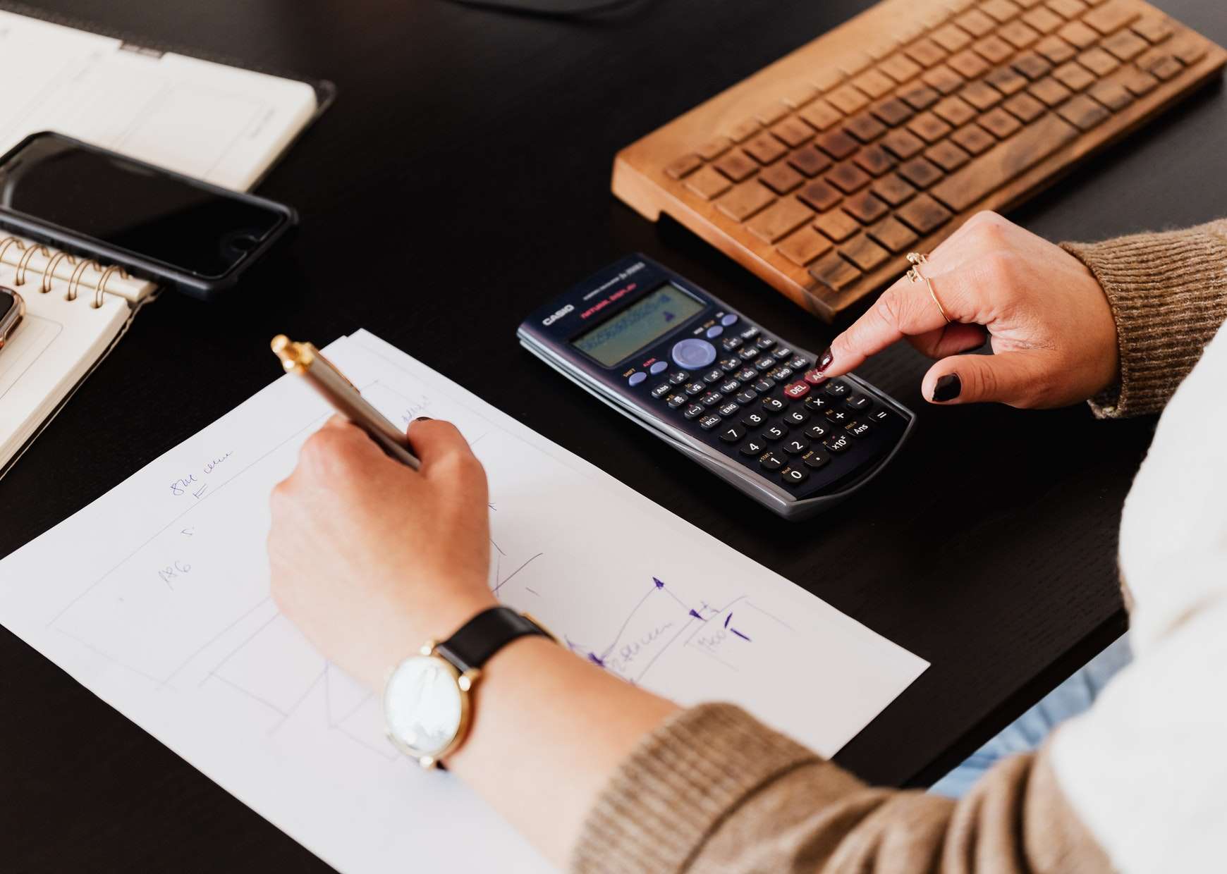 Forensic Accountant: Inspector of Financial Records