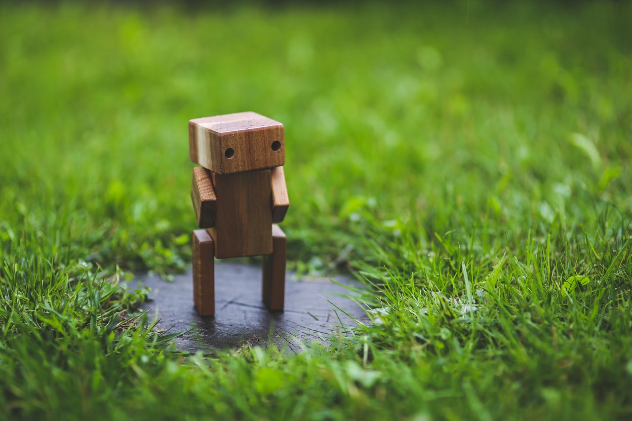 What Does the Slang Word Bot Mean?