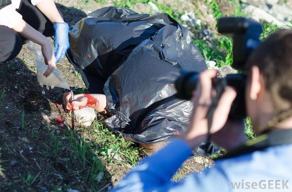 Forensic Photography to Solve Crime
