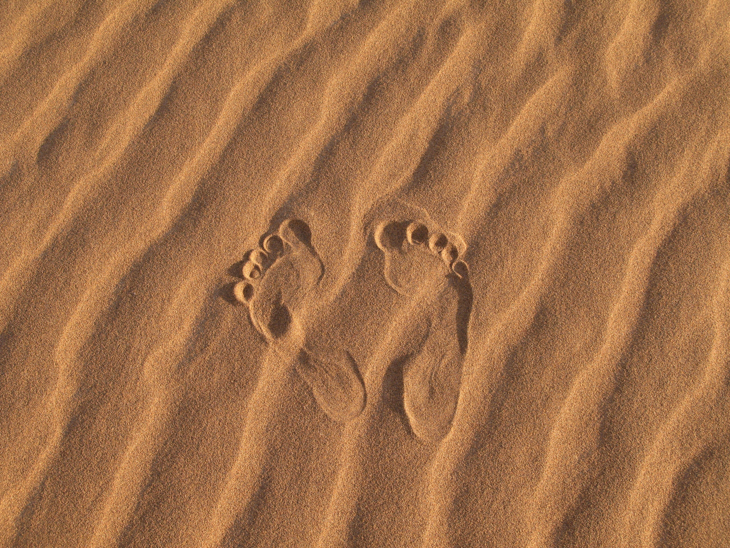 Forensic Footprints and Forensic Podiatry