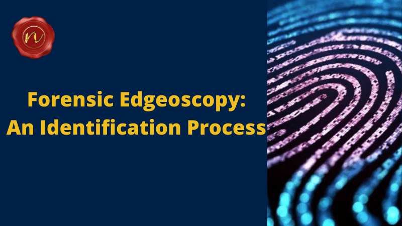 Forensic Edgeoscopy: An Identification Process