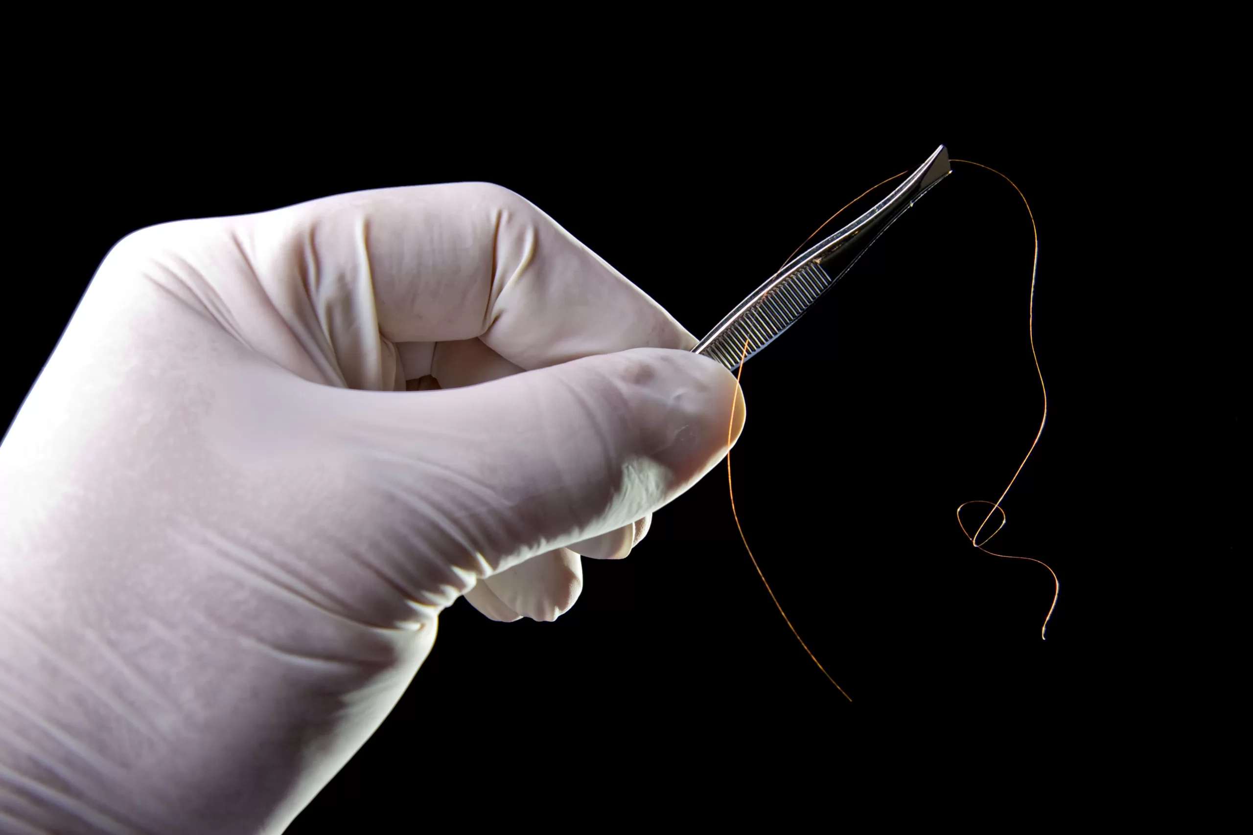 A gloved hand holds a pair of tweezers gripping a single hair