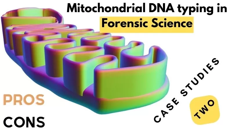 Mitochondrial DNA (mtdna) Typing In Forensic Science 5+ Uses